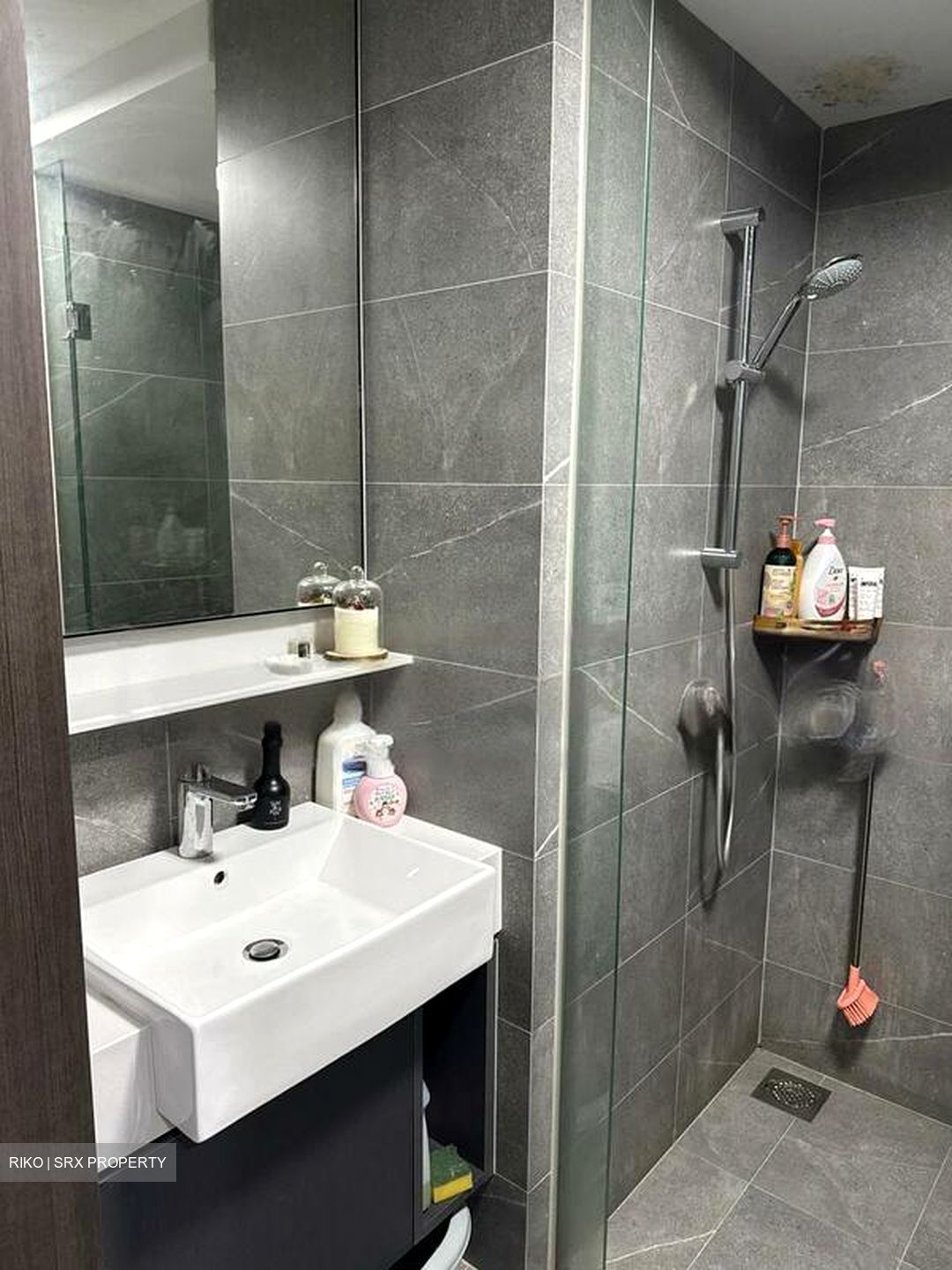 Riverfront Residences (D19), Apartment #463192491